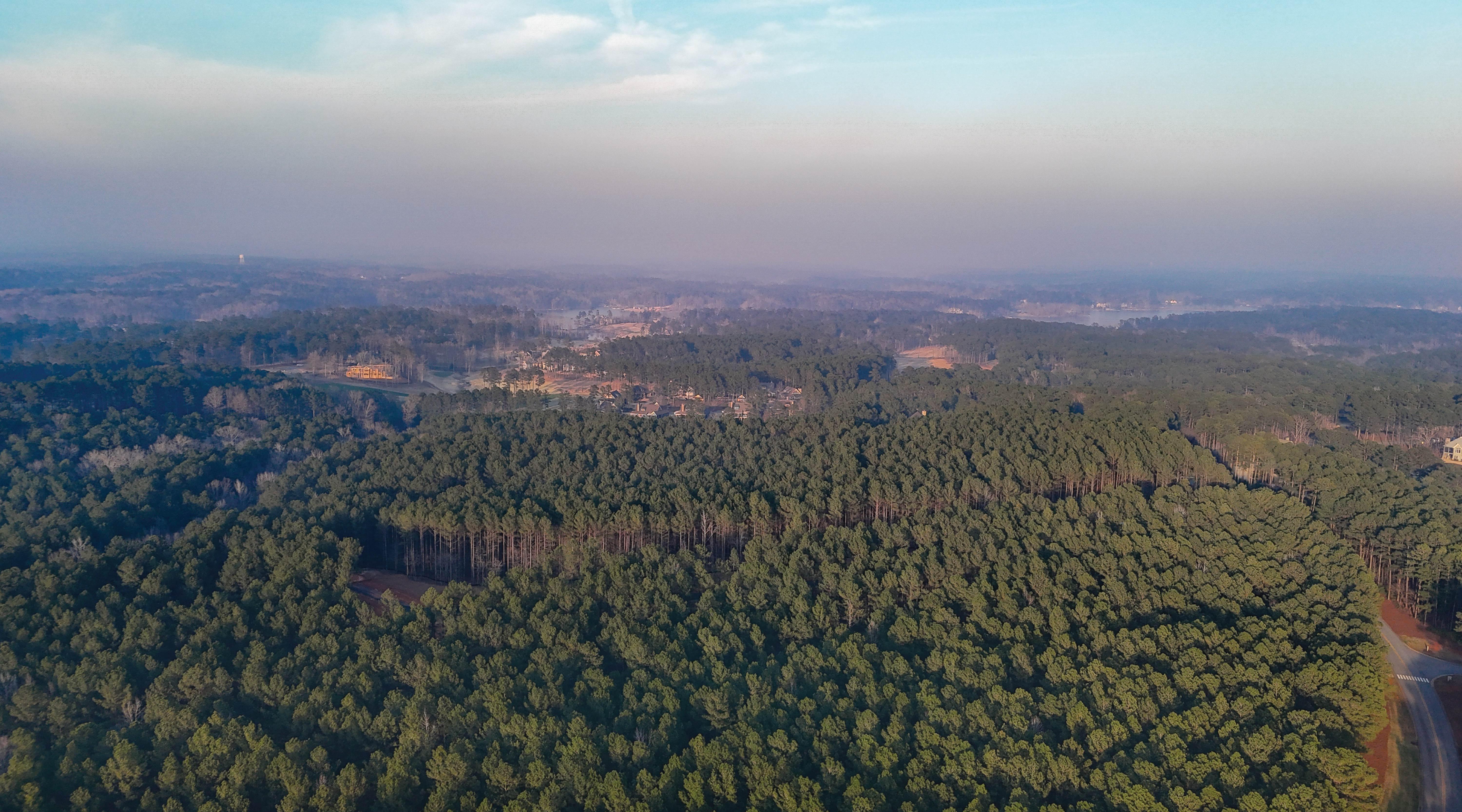 Forest Ridge Hero Image