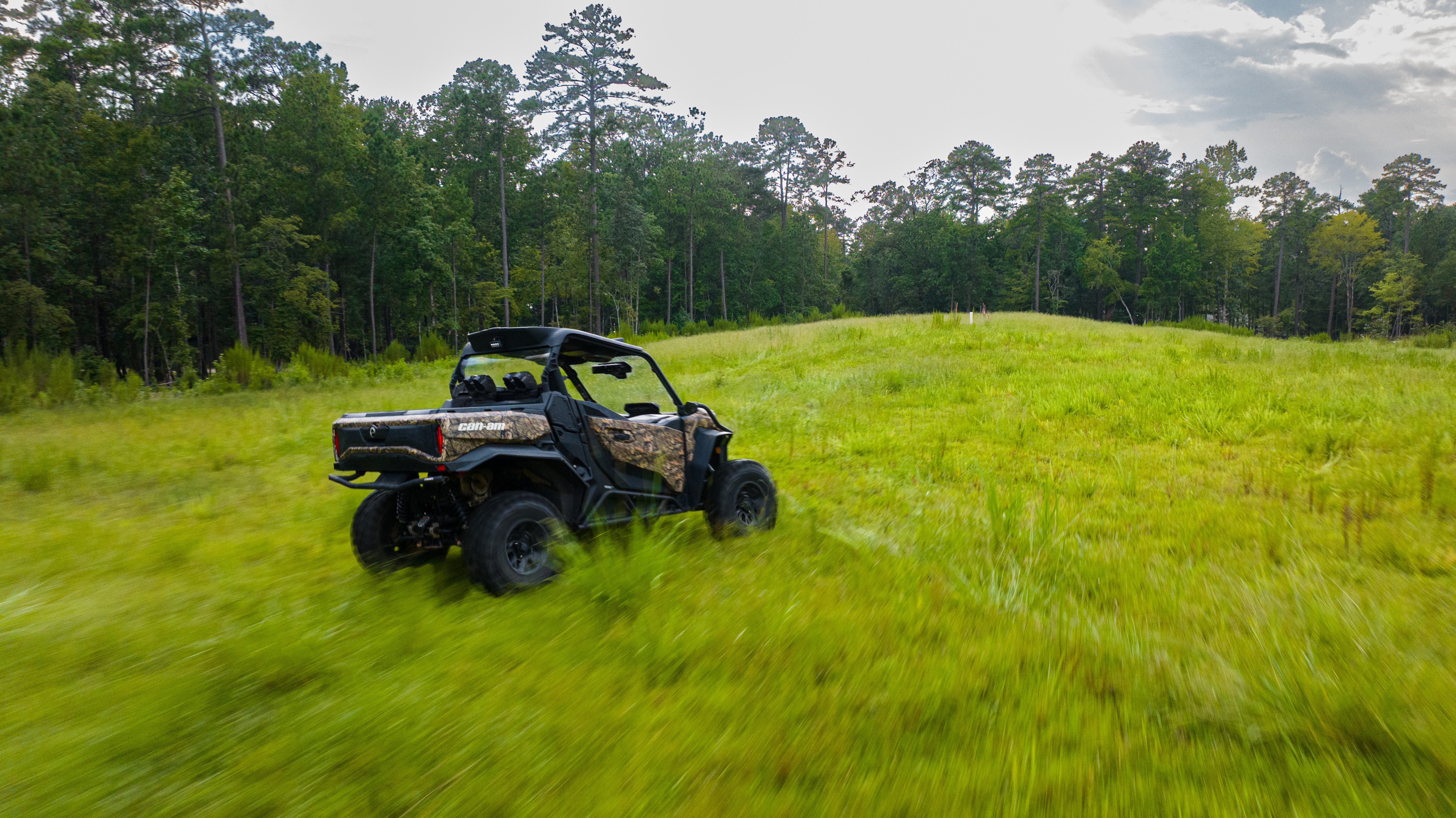 Vorkapich buggy teaser