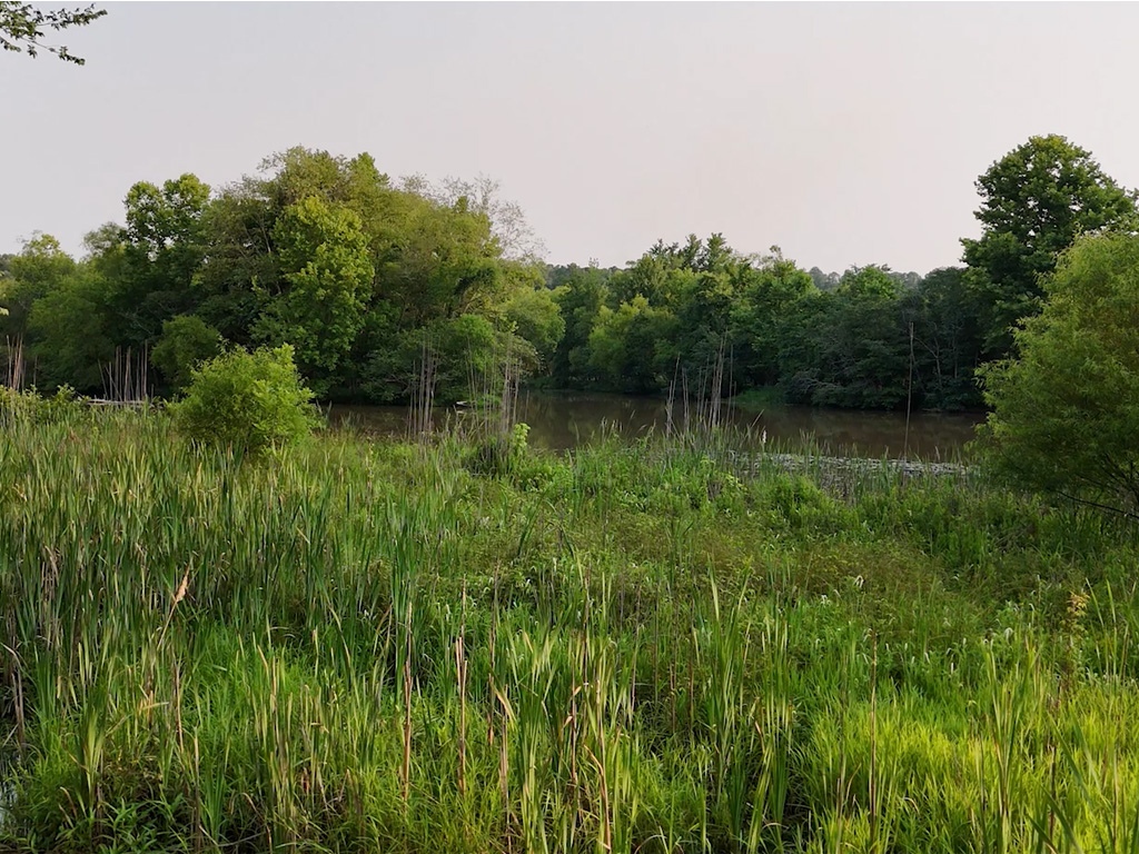 Walk & Talk with Steve Smyers