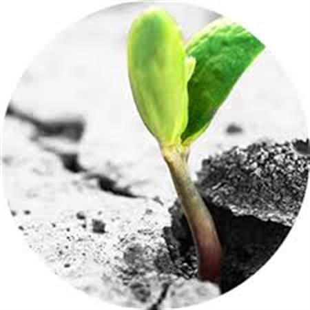 Outpatient Addiction Treatment Carson CA