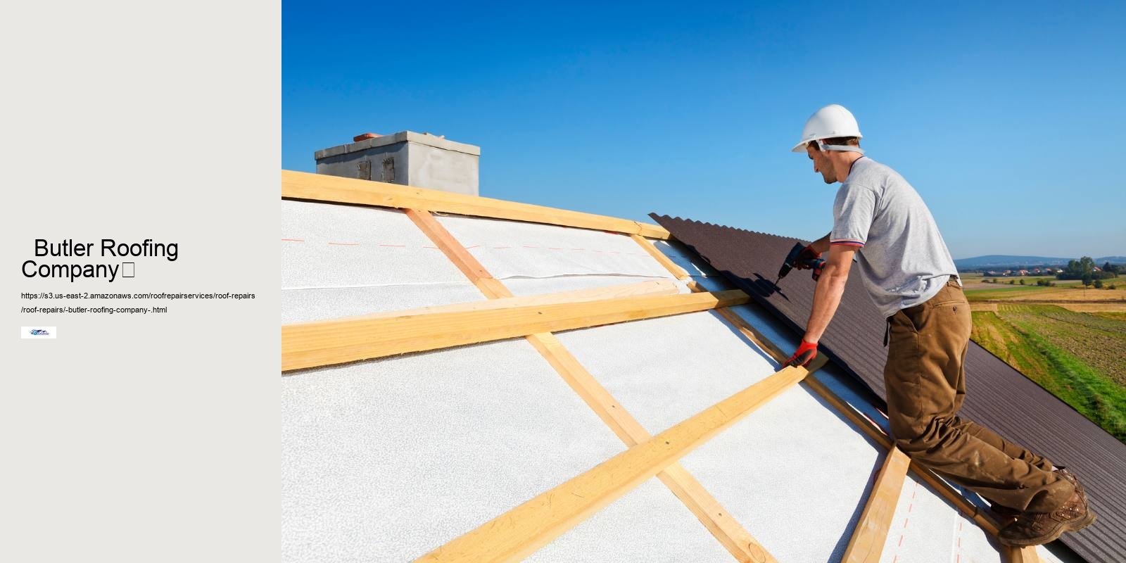   Butler Roofing Company	 