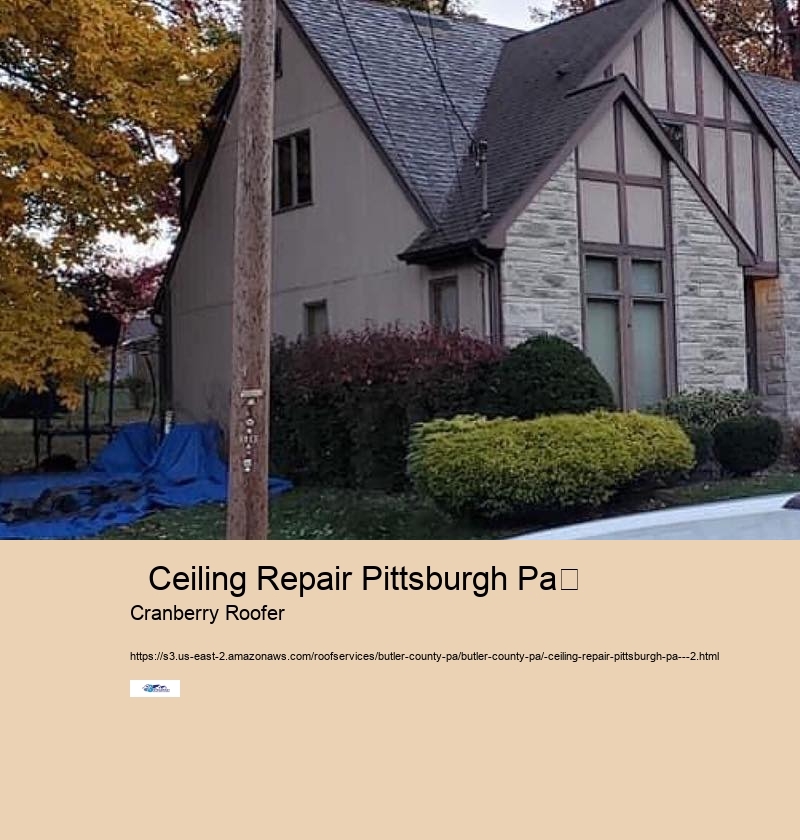   Ceiling Repair Pittsburgh Pa	 