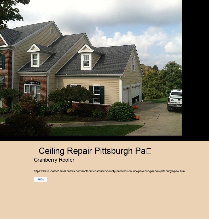   Ceiling Repair Pittsburgh Pa	 