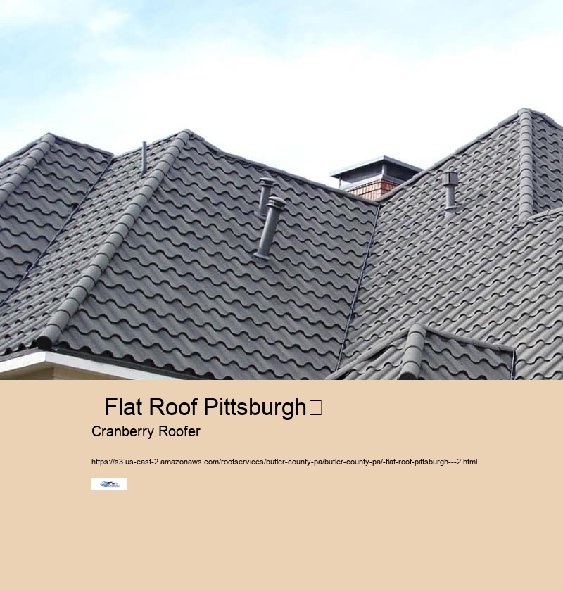   Flat Roof Pittsburgh	 