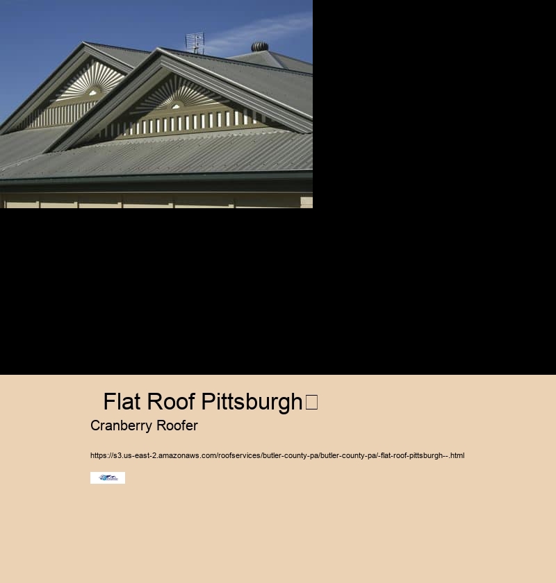   Flat Roof Pittsburgh	 