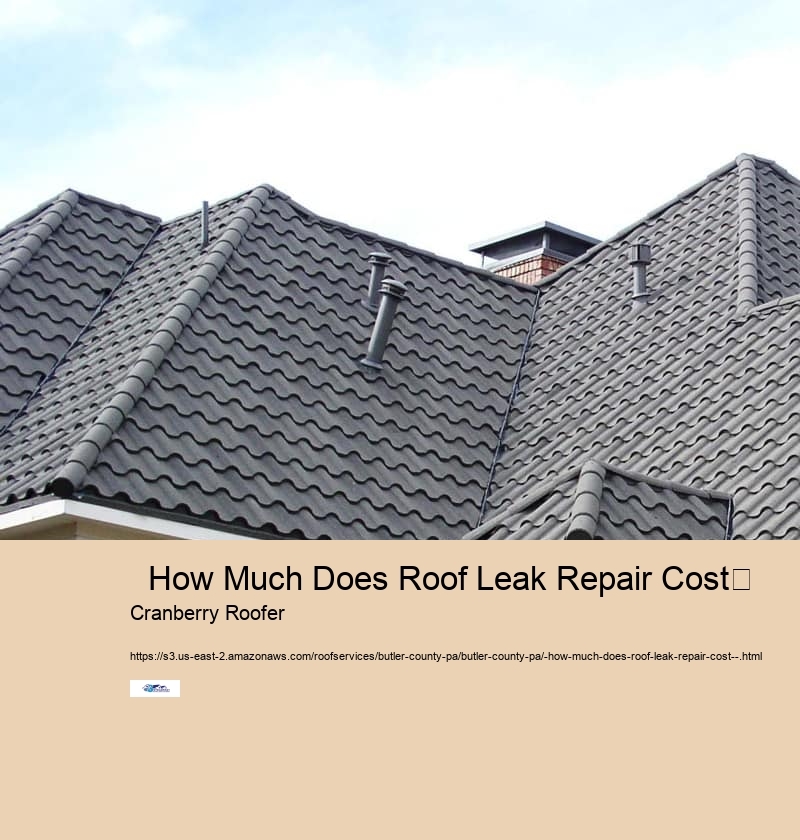  How Much Does Roof Leak Repair Cost	 