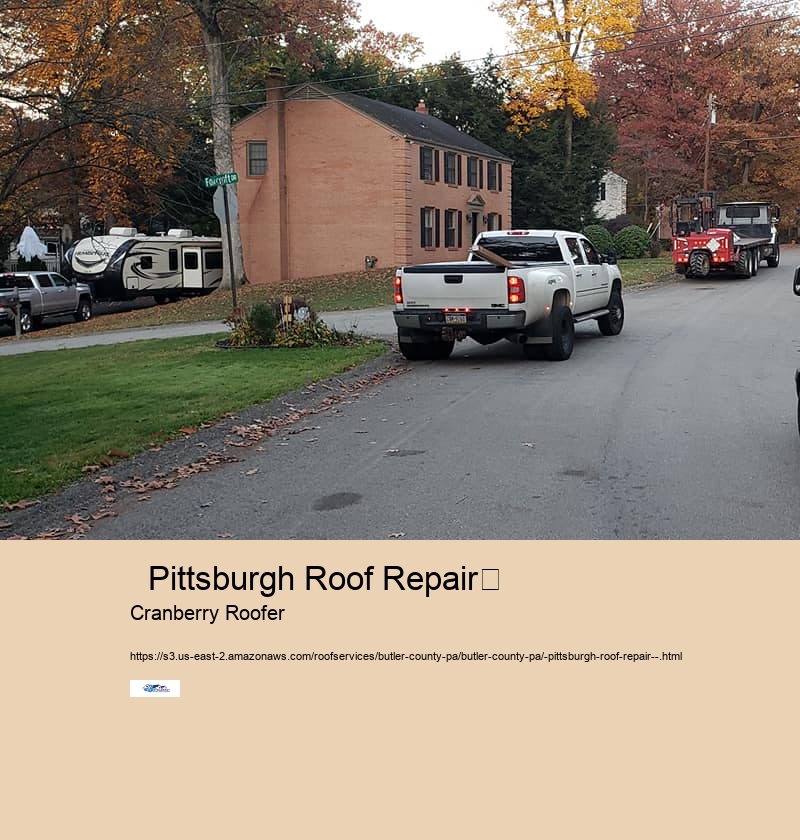   Pittsburgh Roof Repair	 