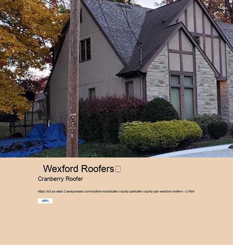   Wexford Roofers	 