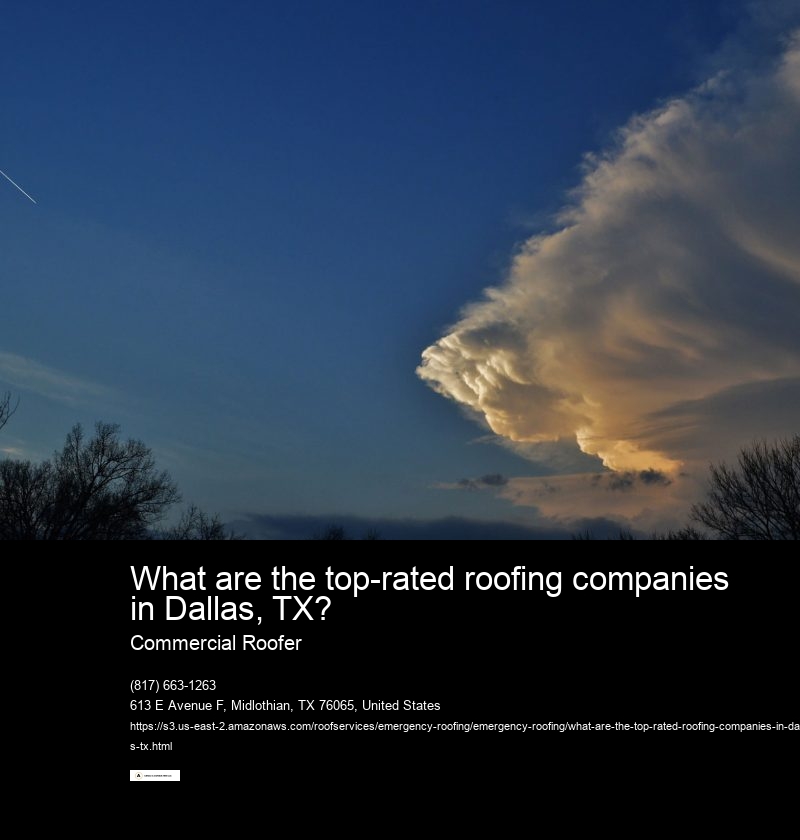 What are the top-rated roofing companies in Dallas, TX?