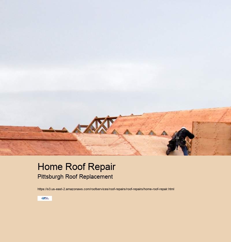 Home Roof Repair Pittsburgh Roof Replacement Leaking Roof Repair New Castle Pa