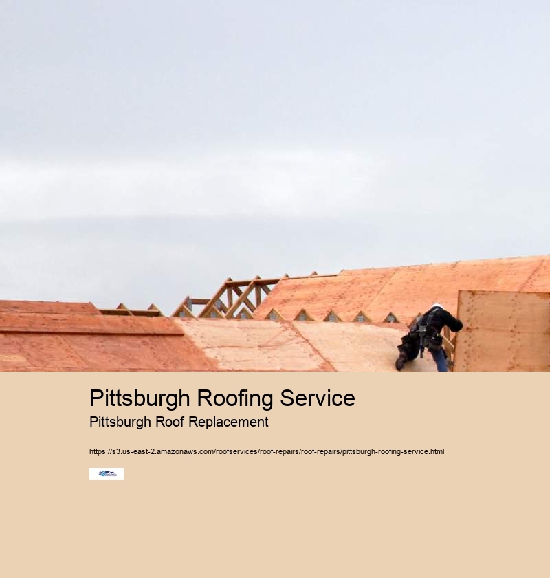 Pittsburgh Roofing Service Pittsburgh Roof Replacement Roof Repair Specialists