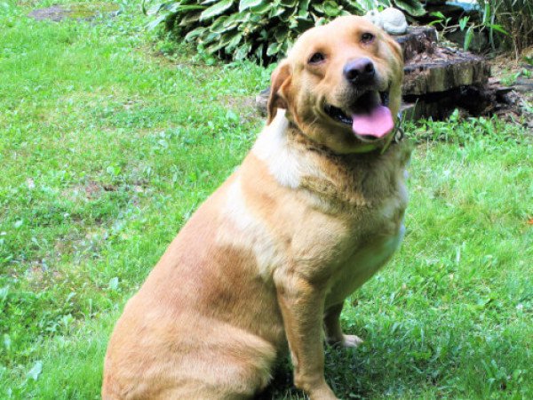 Mills Big Red Boo Boo From Texas