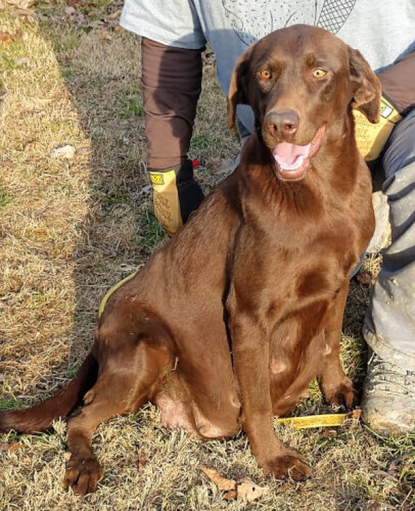 Mills Royal Valley Hope