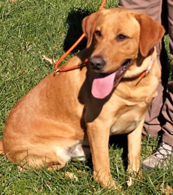 Royal Valley Kentucky Huck