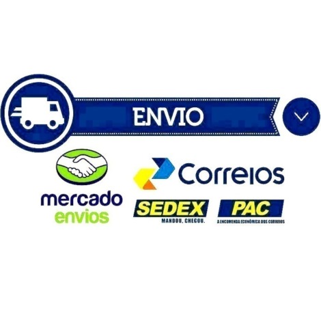 Bacalhau Traseiro Direito Kawasaki Zx10 R 2009 2010 Original