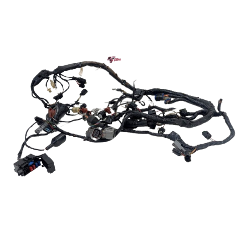 Chicote Principal Kawasaki Zx10 R 2011 Original AVARIA 030