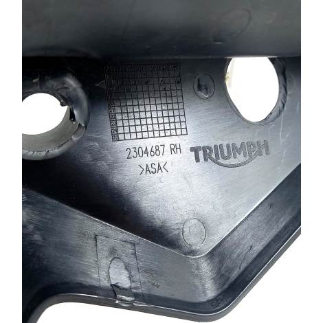 Paralama Lateral Dto Triumph Street Triple 765 S 2020 (032)