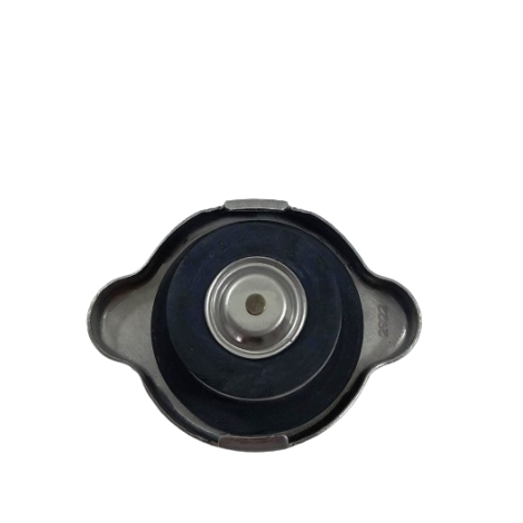 Tampa Radiador Triumph Daytona 675 R 2013 Original (046    