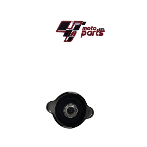 Tampa Radiador Triumph Daytona 675 R 2013 Original (046    