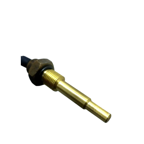 Sensor Temperatura Royal Enfield Meteor 350 2023 Origina 054
