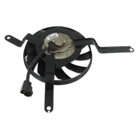 Ventoinha Radiador Triumph Daytona 675 Ano 2006 Original