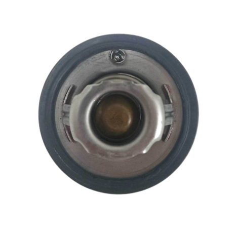 Válvula Termostática Triumph Daytona 675 Ano 2006 Original