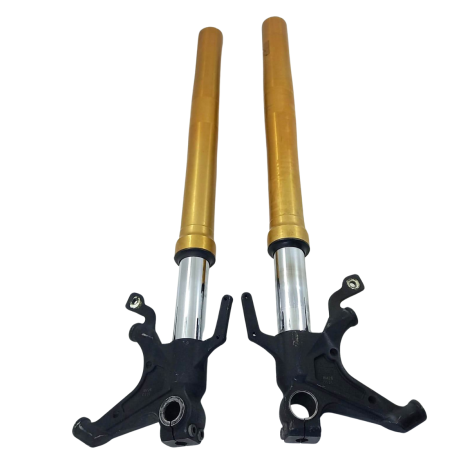 Par Bengalas Yamaha Modelo Yzf R1 Ano 2009 Original (072)