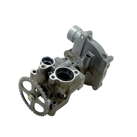 Bomba Água Óleo Marca Yamaha Yzf R1 Ano 2009 Original (100)