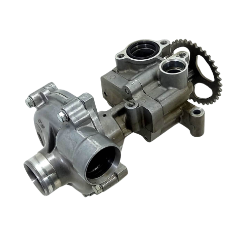 Bomba Água Óleo Marca Yamaha Yzf R1 Ano 2009 Original (100)
