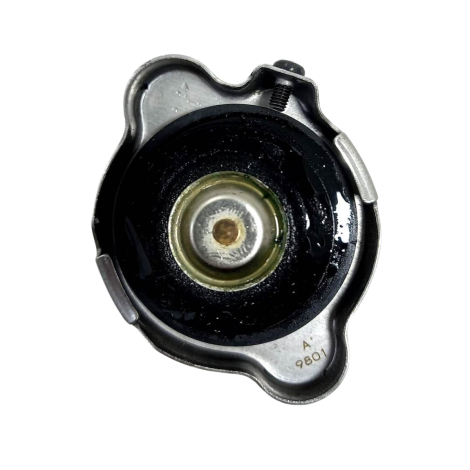 Tampa Radiador Marca Kawasaki Z400 Ano 2020 Original (078)