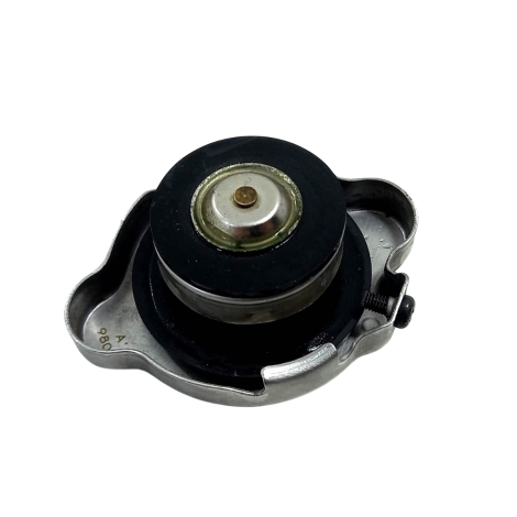 Tampa Radiador Marca Kawasaki Z400 Ano 2020 Original (078)