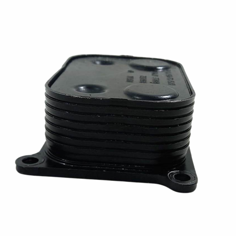 Resfriador Óleo Marca Bmw Modelo F800 R Ano 2012 Original