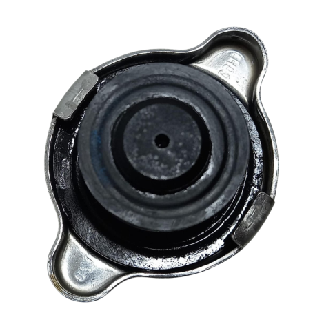 Tampa Radiador Água Marca Bmw F800 GS 2013 Original