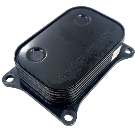 Resfriador Óleo Marca BMW Modelo G310 GS Ano 2018 Original