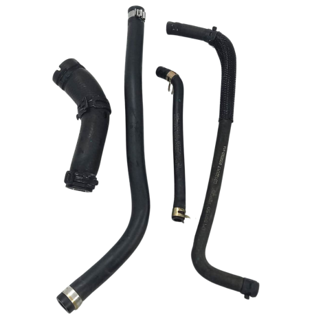 Kit Mangueira Água BMW Modelo G310 GS Ano 2018 Original