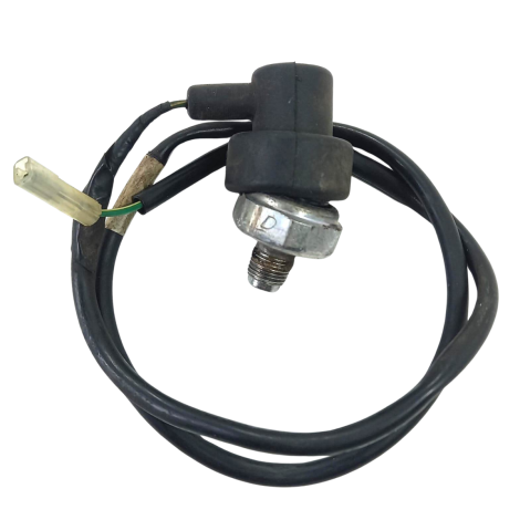 Sensor Cebolinha Óleo Suzuki Gsxr Srad 750 Ano 2009 Original