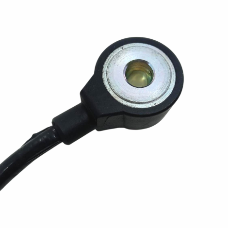 Sensor Detonação Honda Modelo CBR 1000 RR Ano 2008 Original