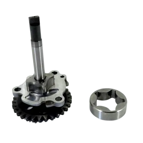 Bomba Óleo Kawasaki Modelo Ninja 300 Z300 Ano 2013 Original