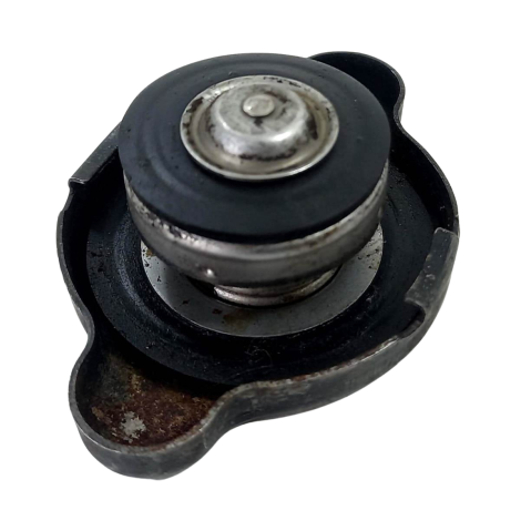 Tampa Radiador Kawasaki Modelo ER6 N Ano 2011 Original