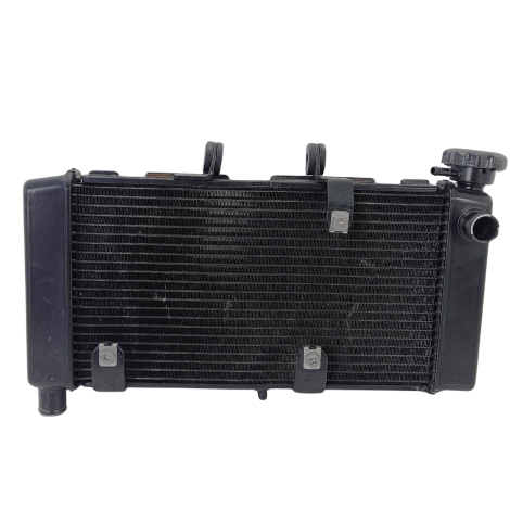 Radiador Água Honda Modelo NC 700X 2014 Original      