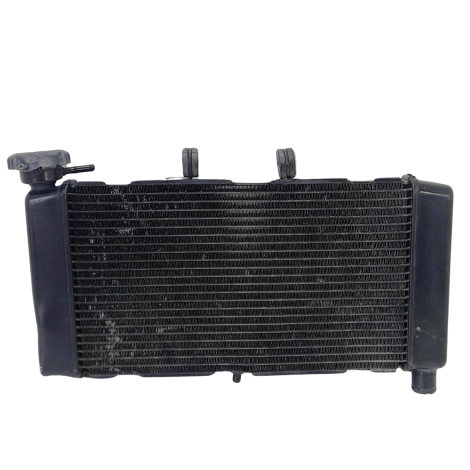 Radiador Água Honda Modelo NC 700X 2014 Original      