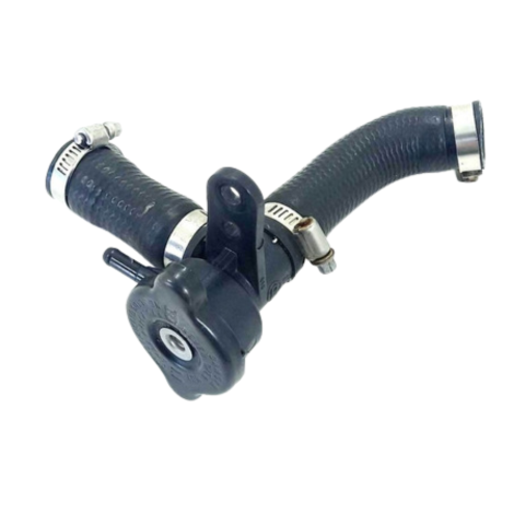 Bocal Radiador Completo Kawasaki Ninja 300 Ano 2013 Original
