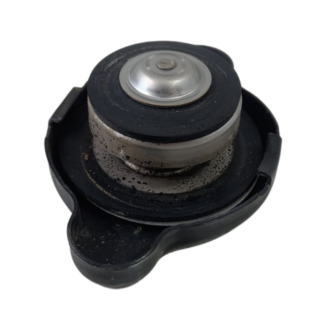 Tampa Radiador Marca Kawasaki Ninja 300 Ano 2013 Original
