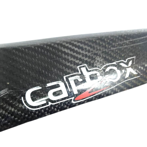 Acabamento Coletor Escape Daytona 675 Ano 2014