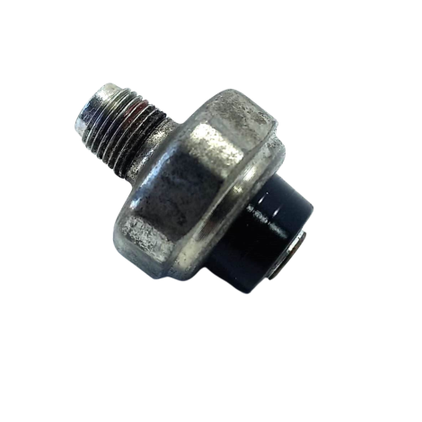 Cebolinha Óleo Suzuki DL 1000 V-Strom  ano 2009 Original