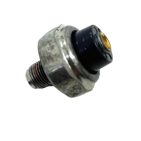 Cebolinha Óleo Suzuki DL 1000 V-Strom  ano 2009 Original