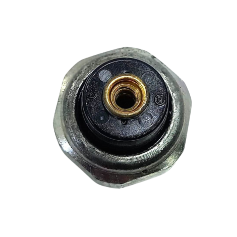 Cebolinha Óleo Suzuki DL 1000 V-Strom  ano 2009 Original