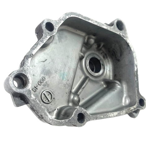 Tampa Eixo Pedal Suzuki DL 1000 V-Strom Ano 2009 Original