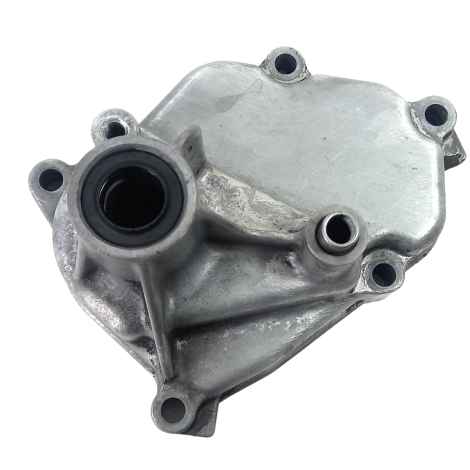 Tampa Eixo Pedal Suzuki DL 1000 V-Strom Ano 2009 Original