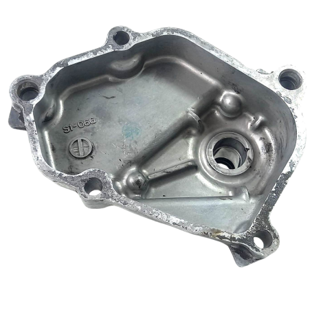 Tampa Eixo Pedal Suzuki DL 1000 V-Strom Ano 2009 Original